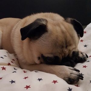 Meet your Posher, Bianca